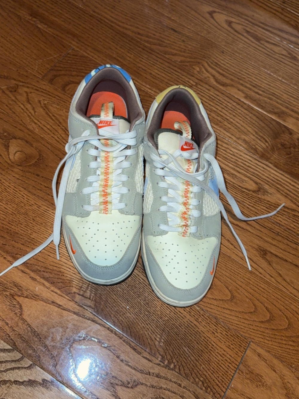 Nike Men’s Low-Top CaToons